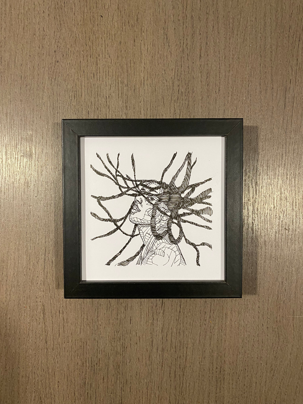 'Crazy Locs'